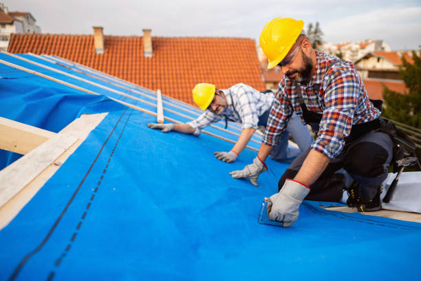 Roof Gutter Cleaning in Cortland, IL